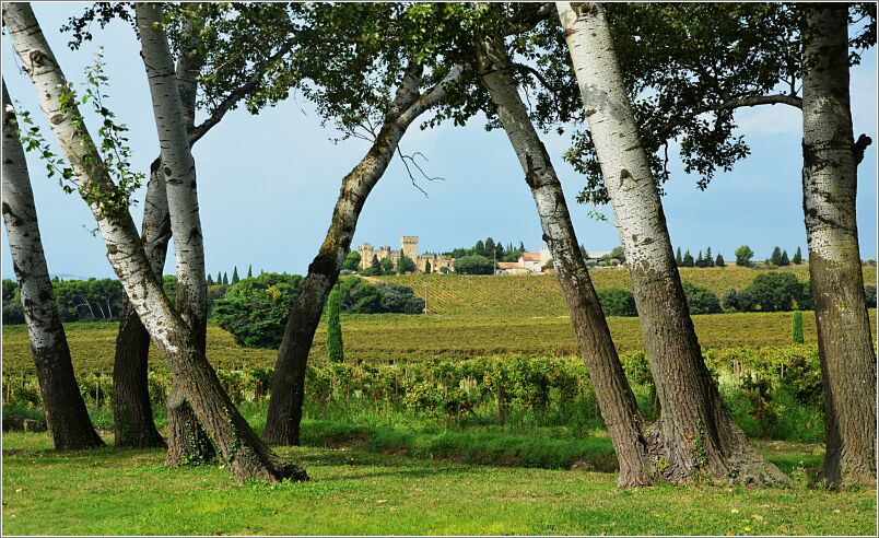 Chateau La Nerthe next door